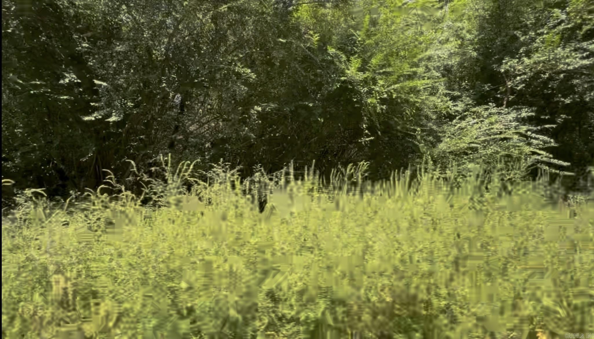 3 Lots Brown  Little Rock, AR