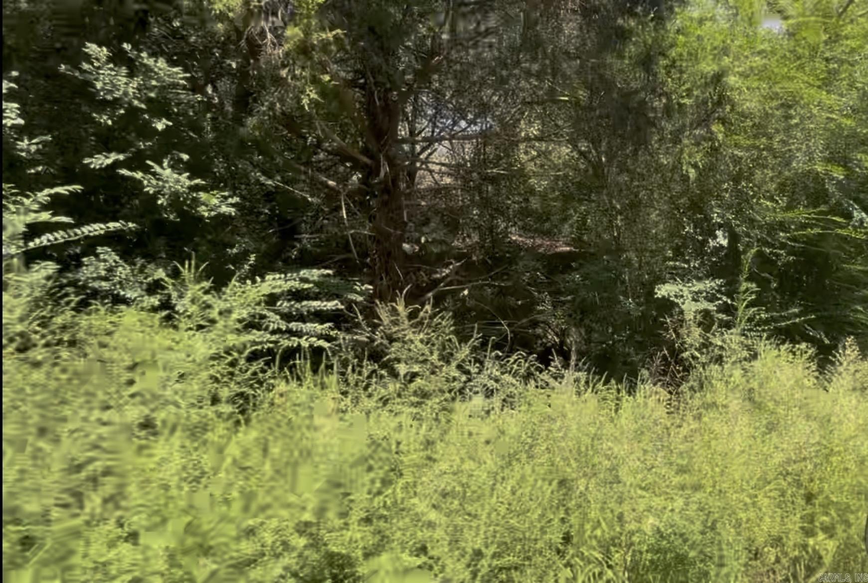 3 Lots Brown  Little Rock, AR