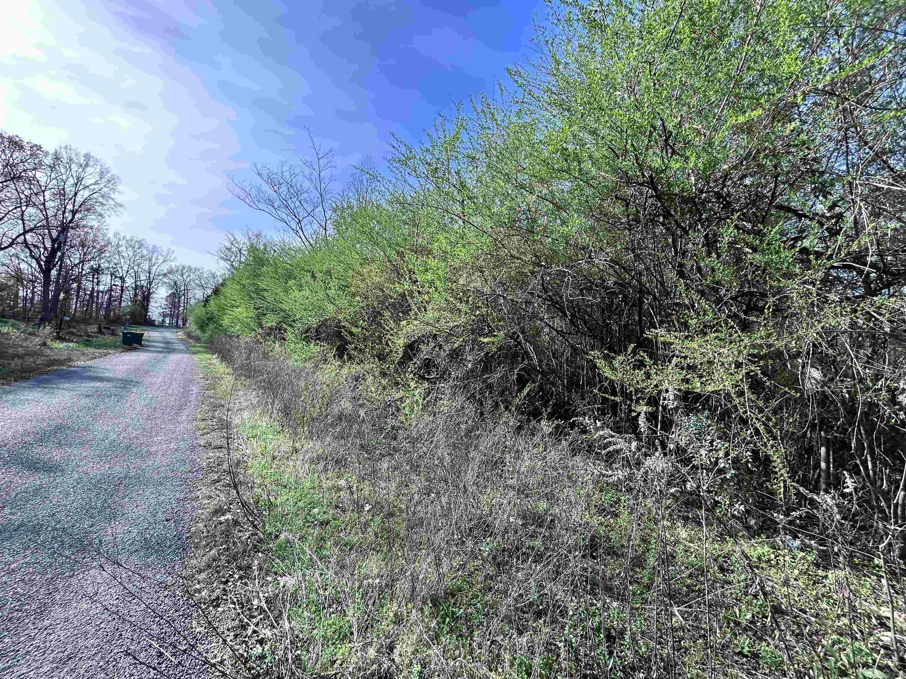 3 Lots Brown  Little Rock, AR