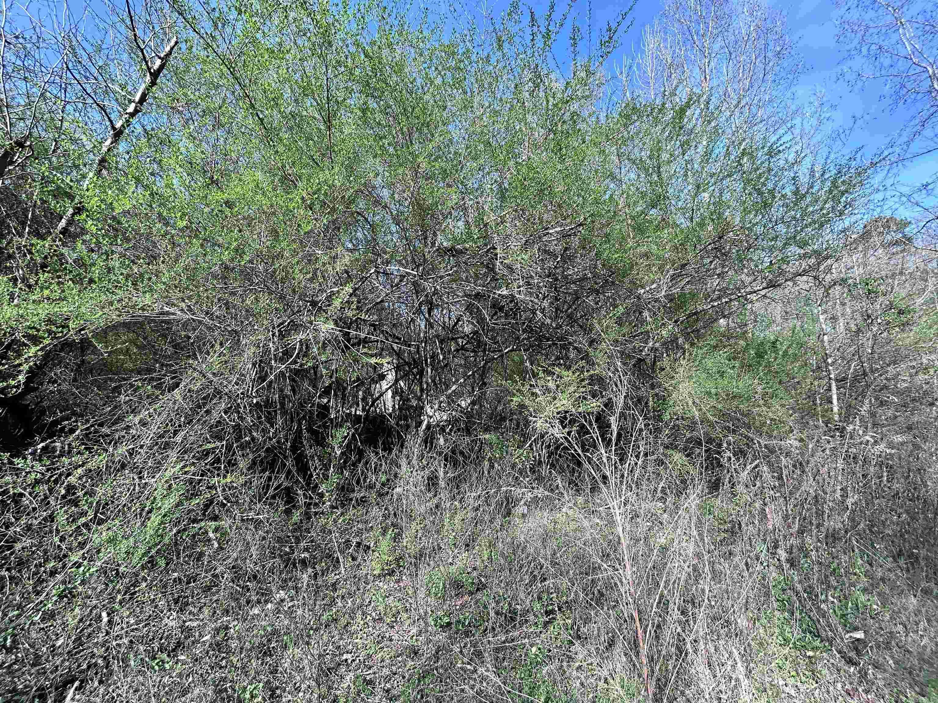 3 Lots Brown  Little Rock, AR