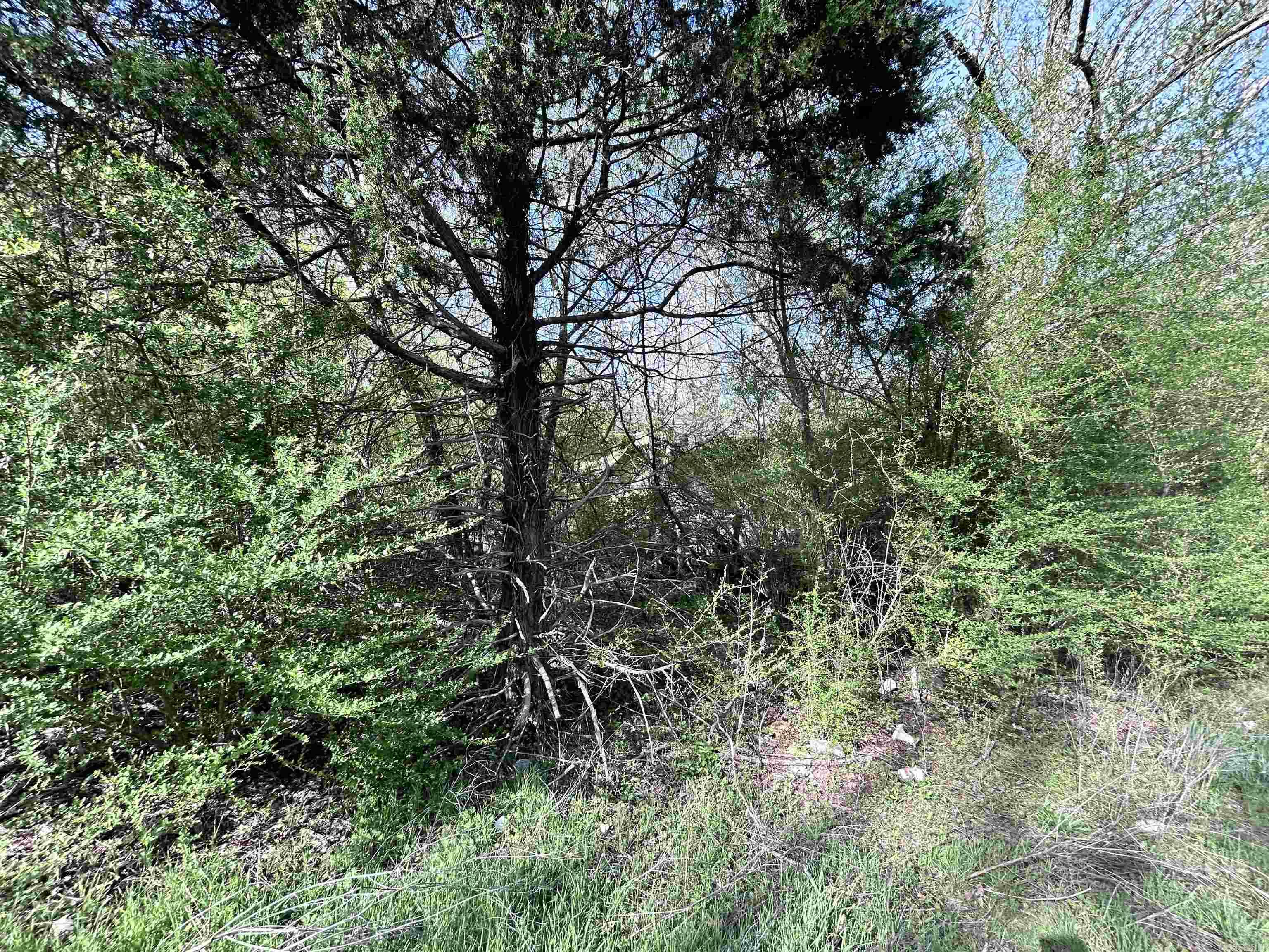 3 Lots Brown  Little Rock, AR