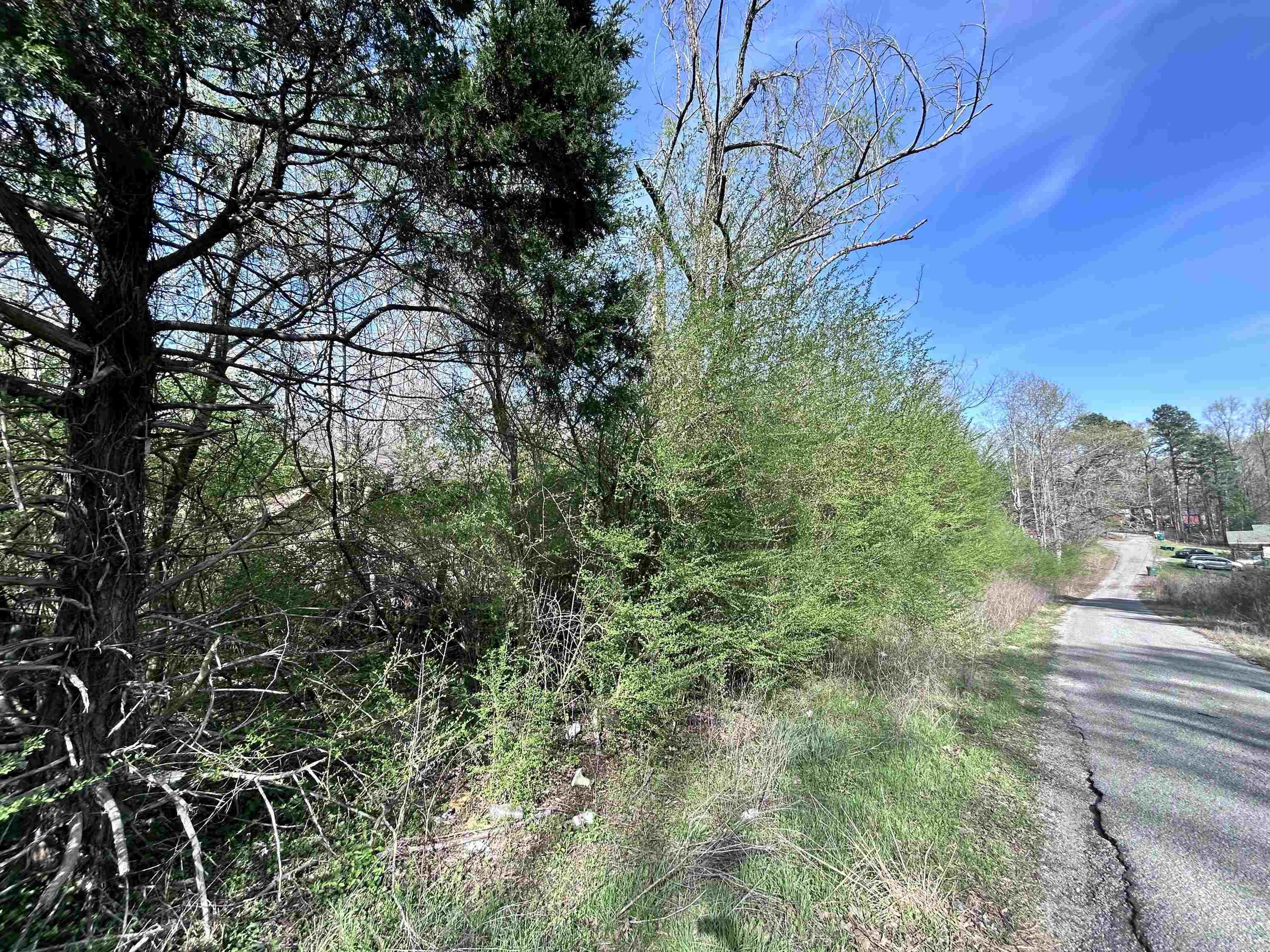 3 Lots Brown  Little Rock, AR