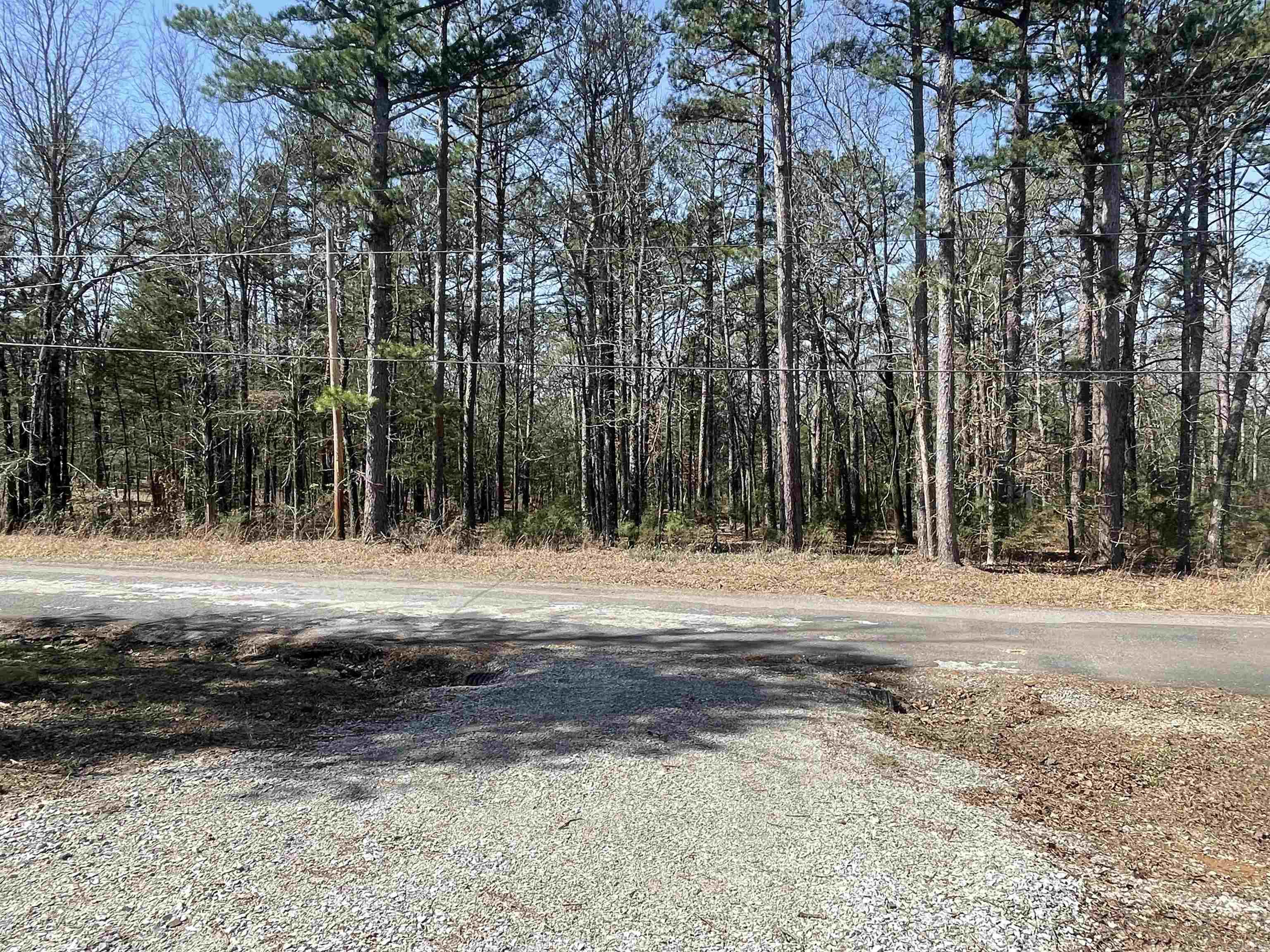 270 Wood Grove Lane  Higden, AR