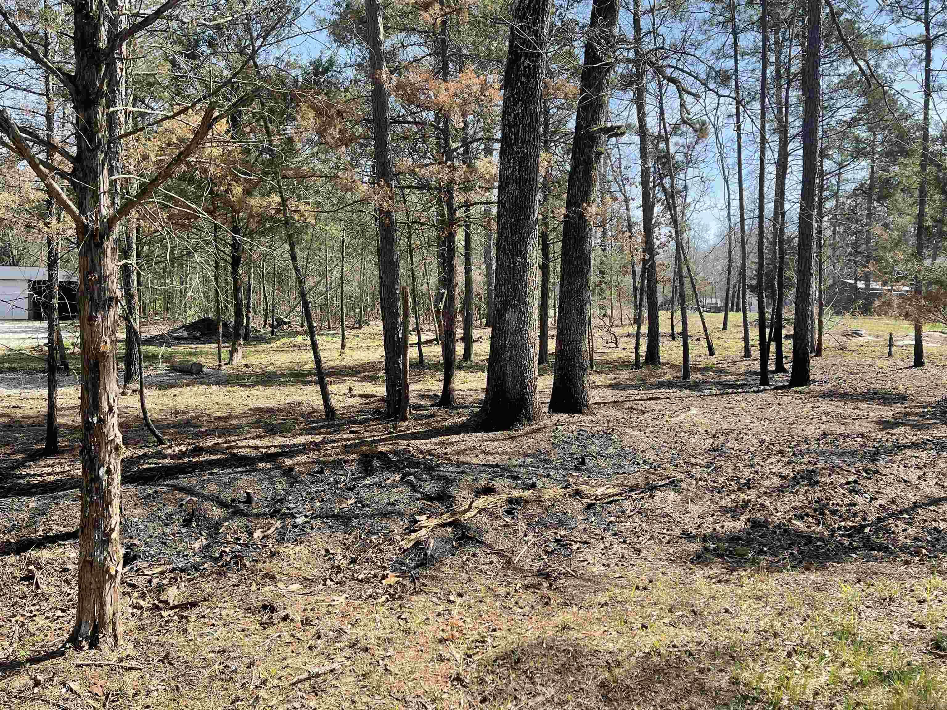 270 Wood Grove Lane  Higden, AR