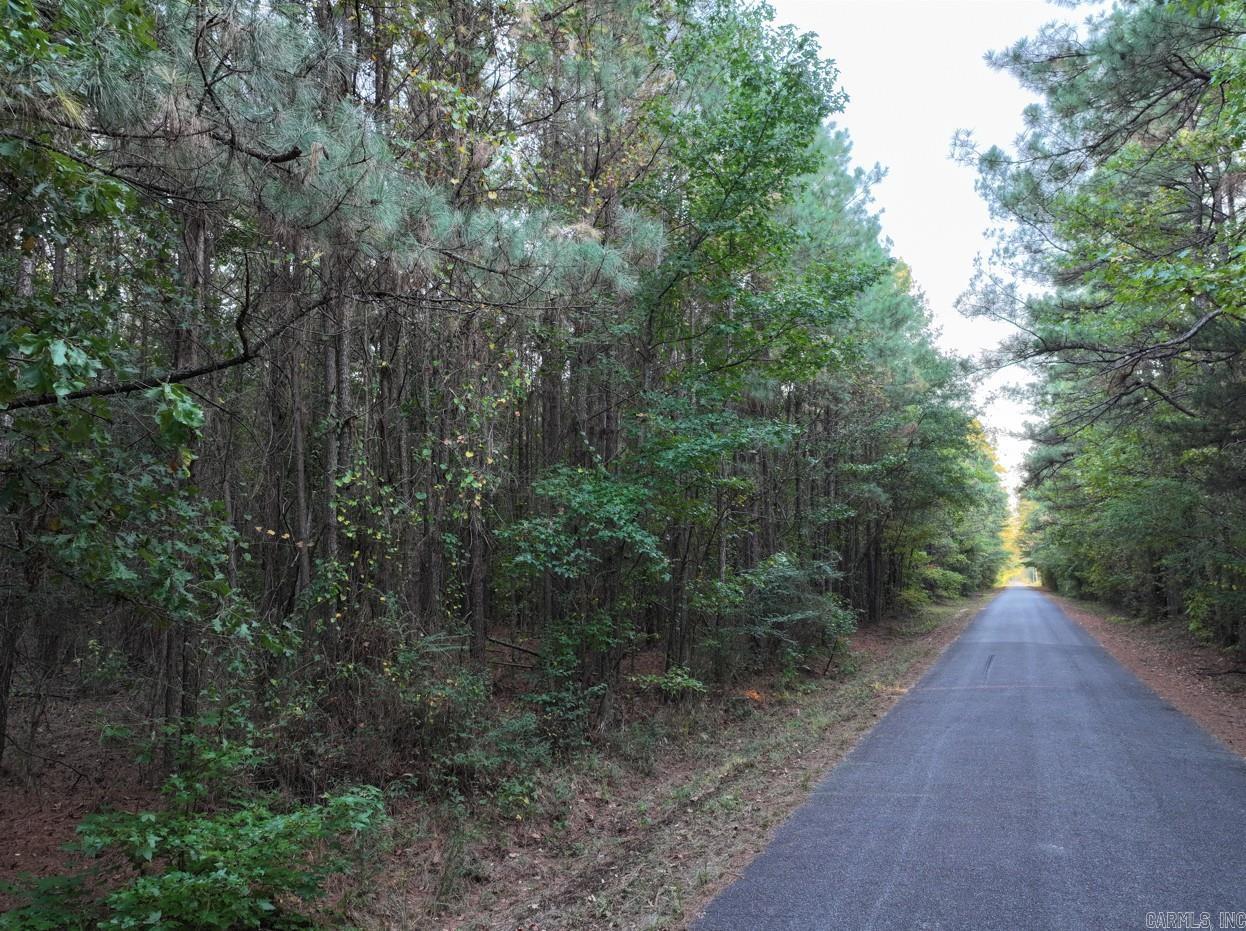 2700 Grant County Rd 36  Prattsville, AR