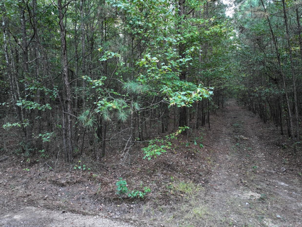 2700 Grant County Rd 36  Prattsville, AR