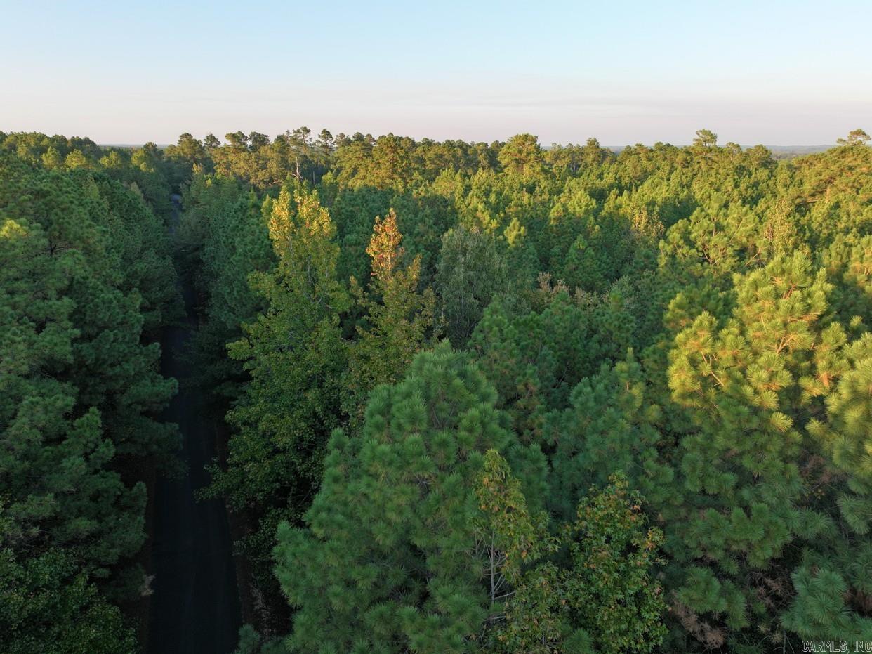 2700 Grant County Rd 36  Prattsville, AR