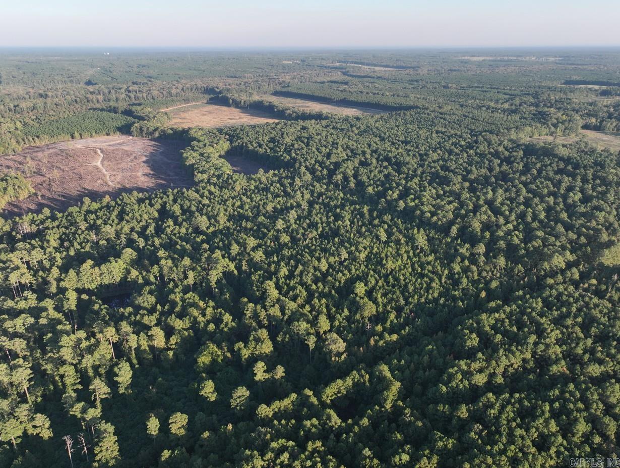 2700 Grant County Rd 36  Prattsville, AR