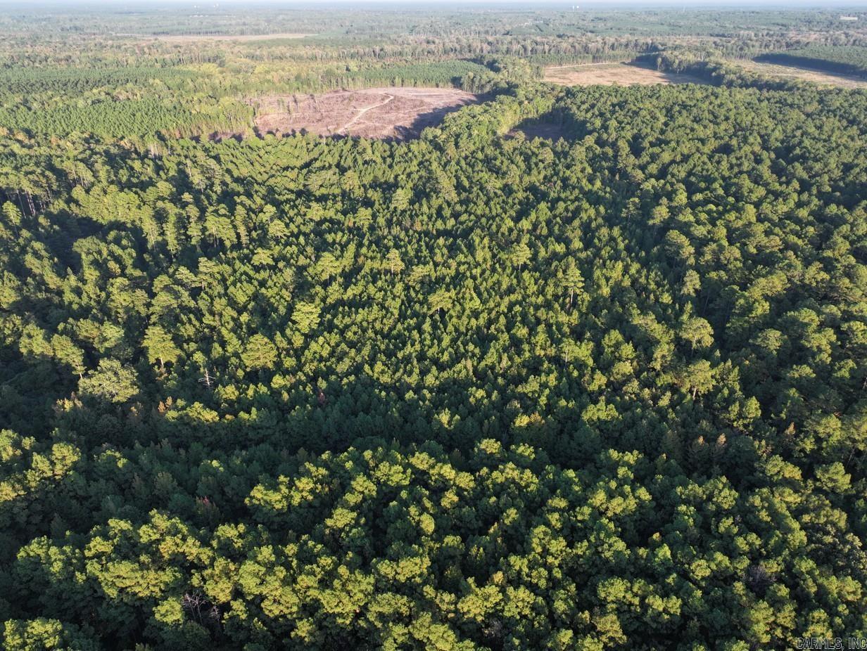 2700 Grant County Rd 36  Prattsville, AR