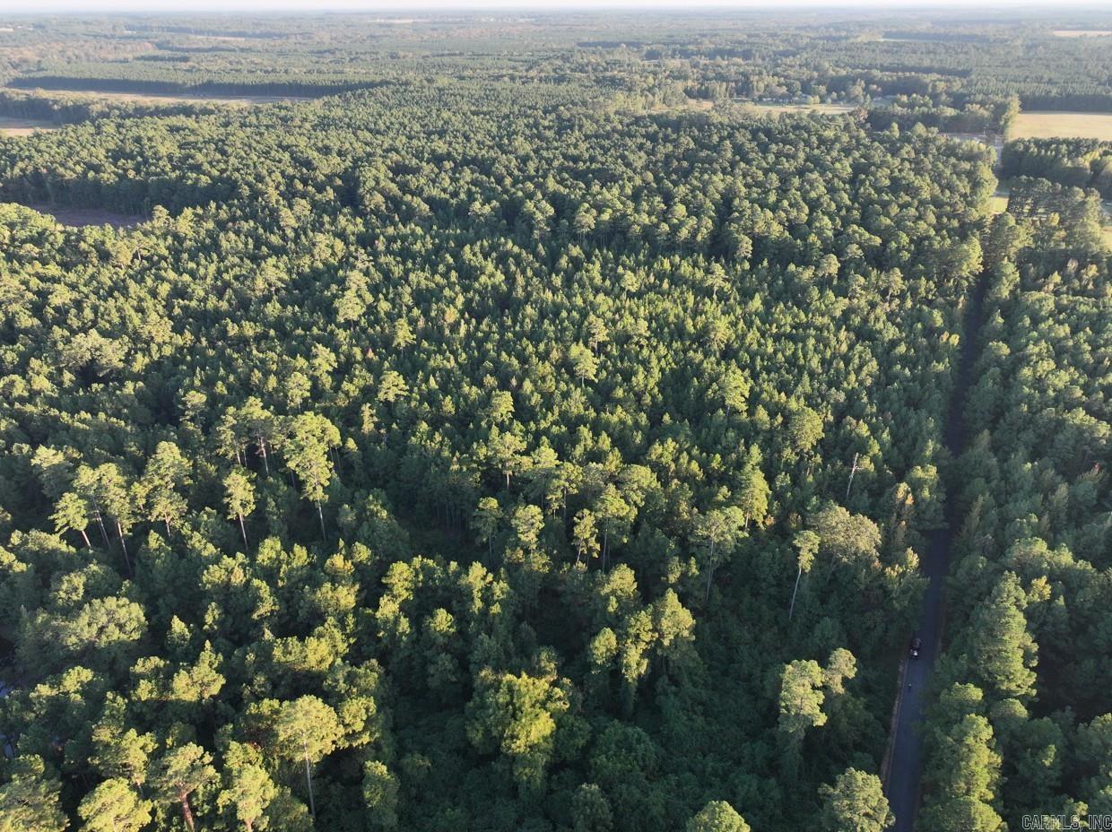 2700 Grant County Rd 36  Prattsville, AR