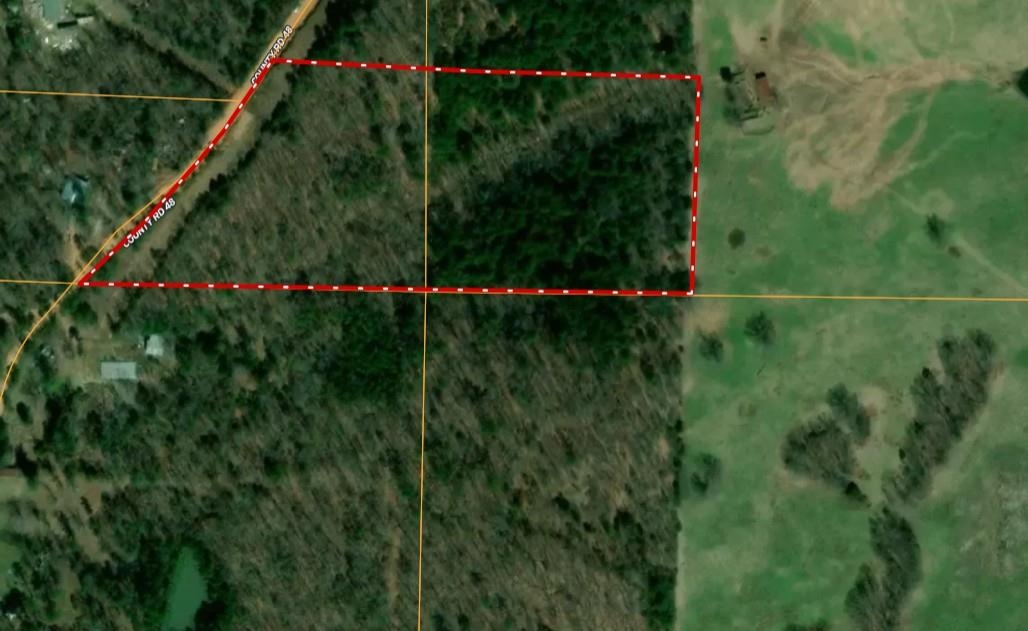 8 Red Lamb  Melbourne, AR