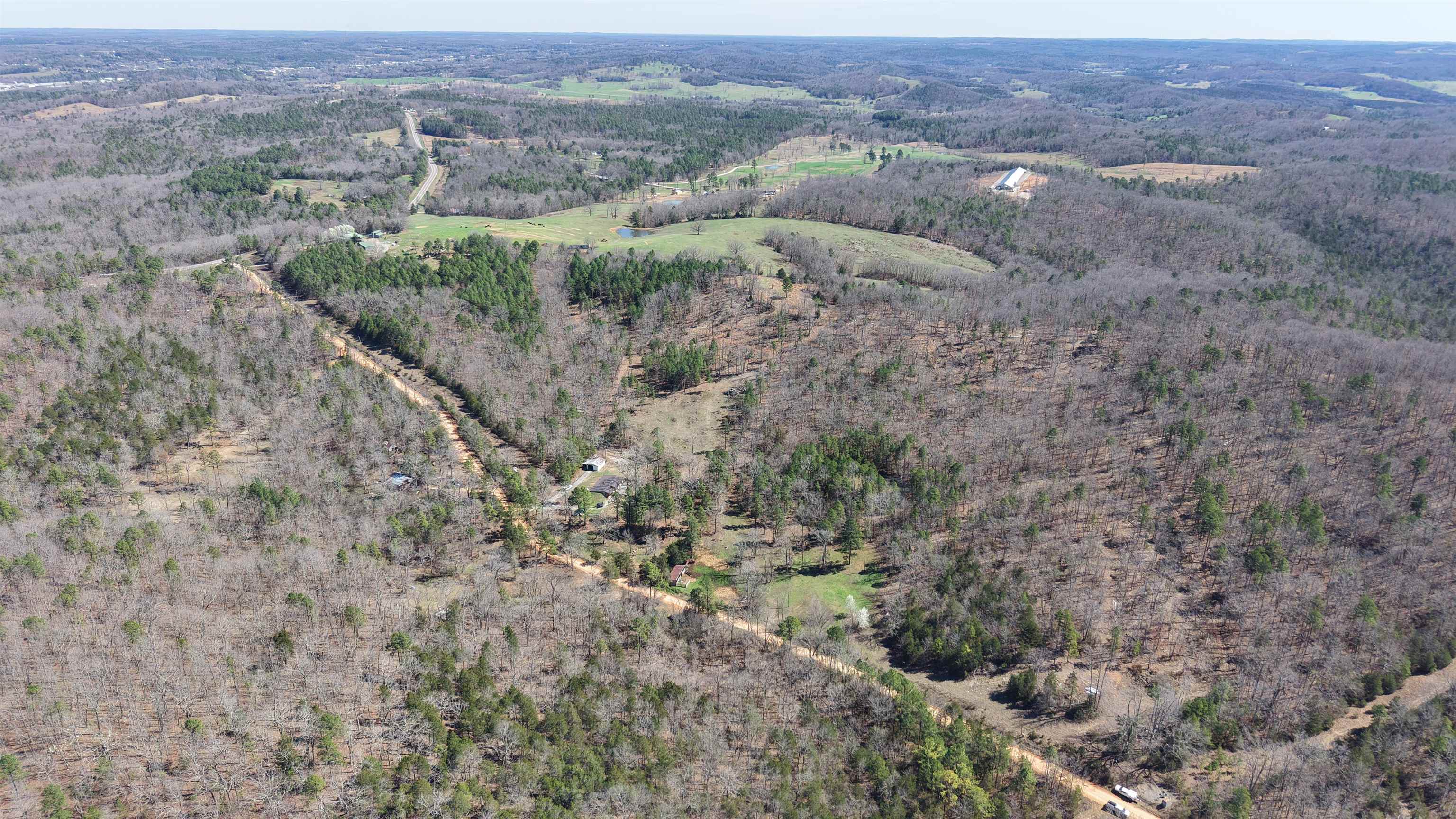 8 Red Lamb  Melbourne, AR