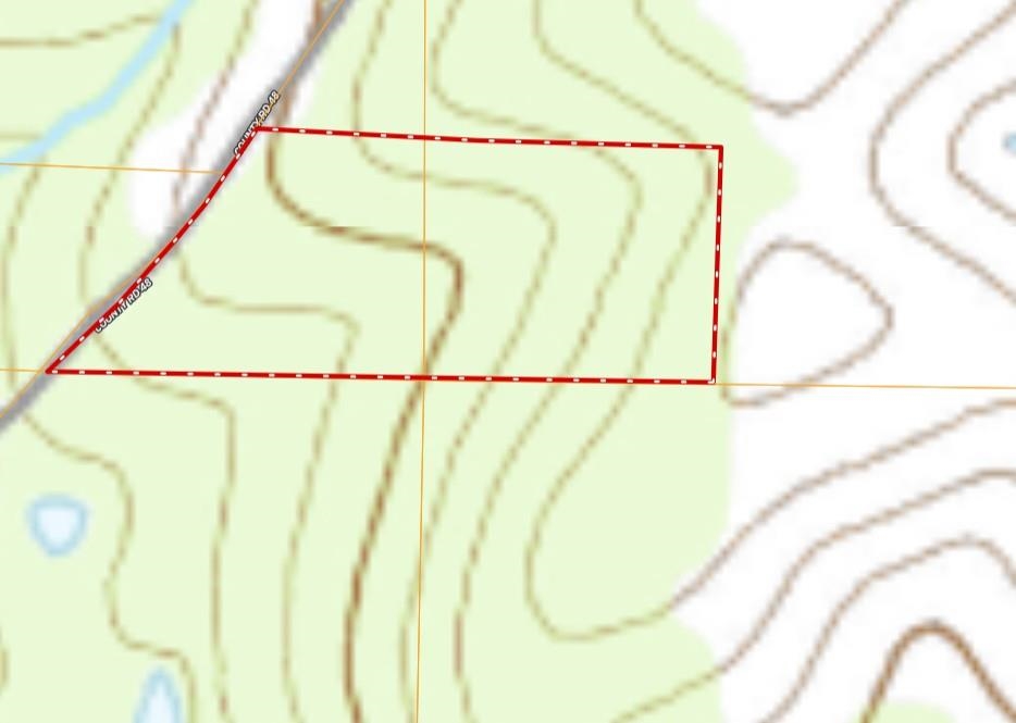 8 Red Lamb  Melbourne, AR