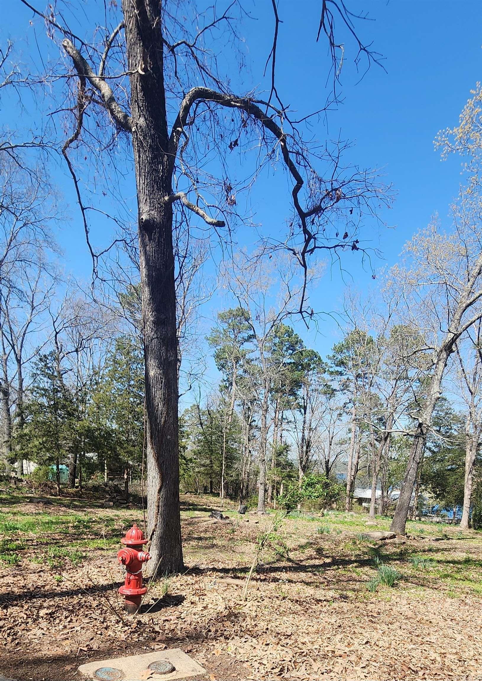 204 Glenview  Heber Springs, AR