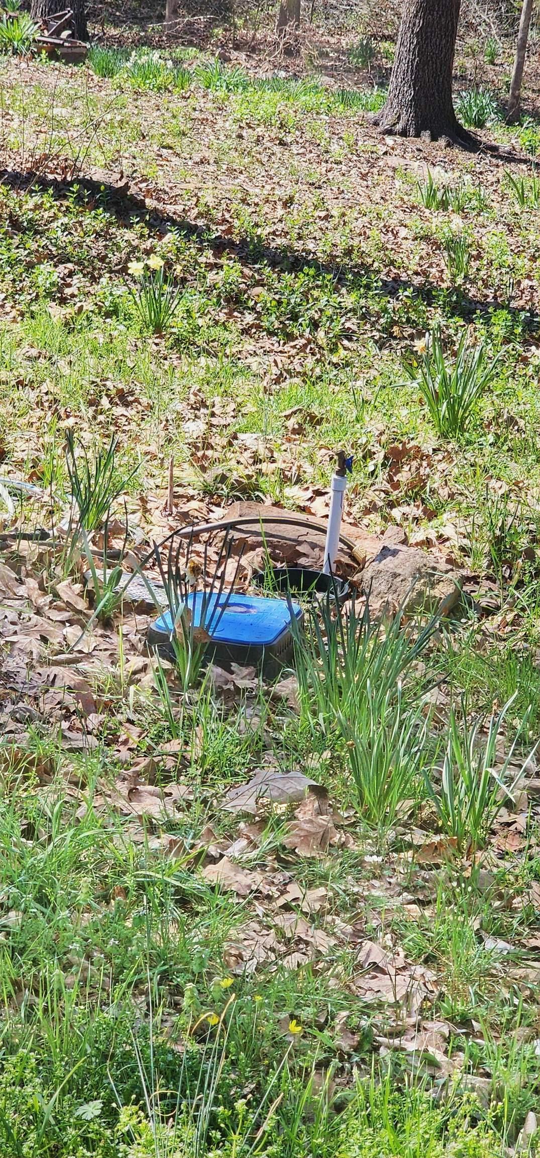 204 Glenview  Heber Springs, AR