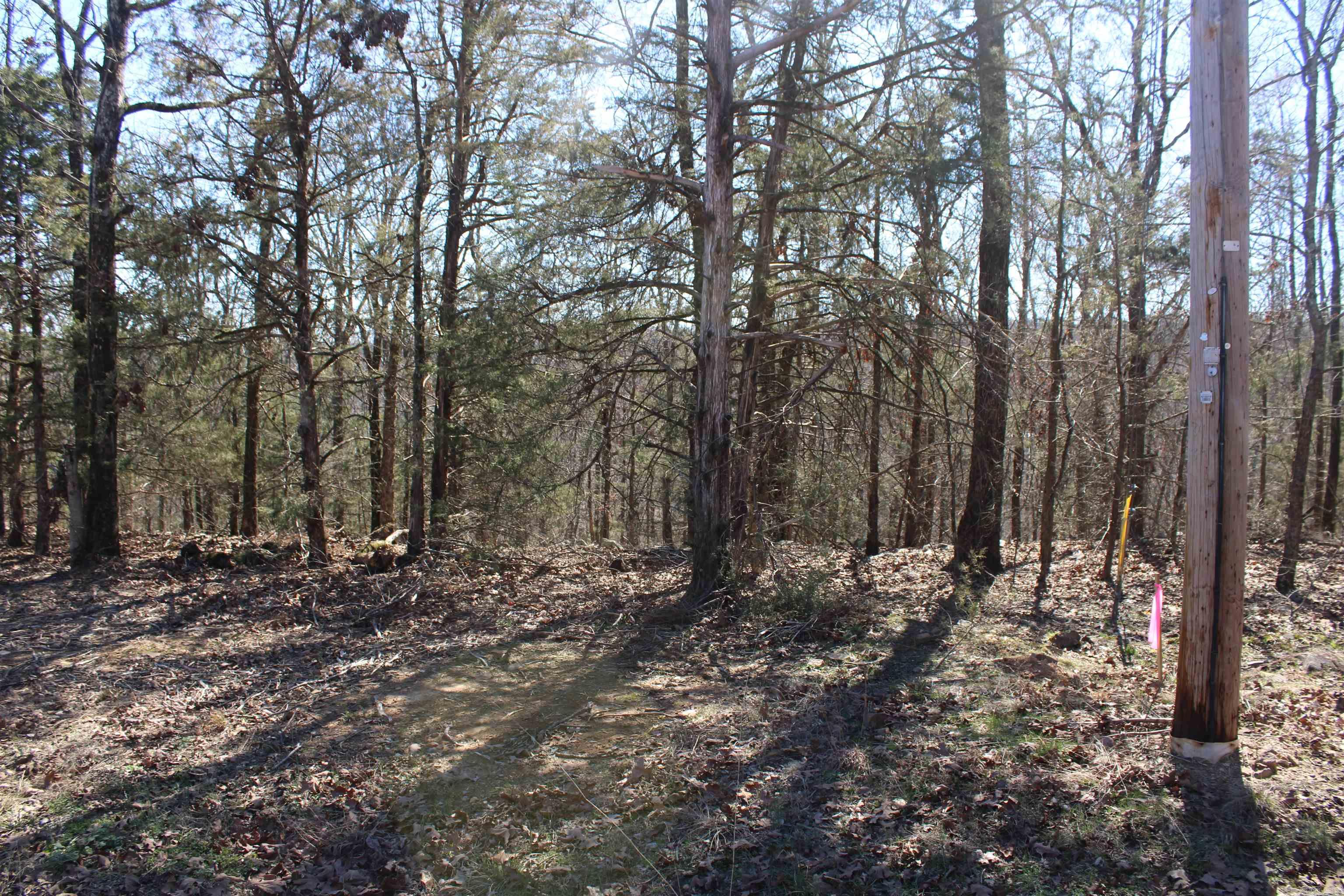 Lot 20 Kelly  Cabot, AR