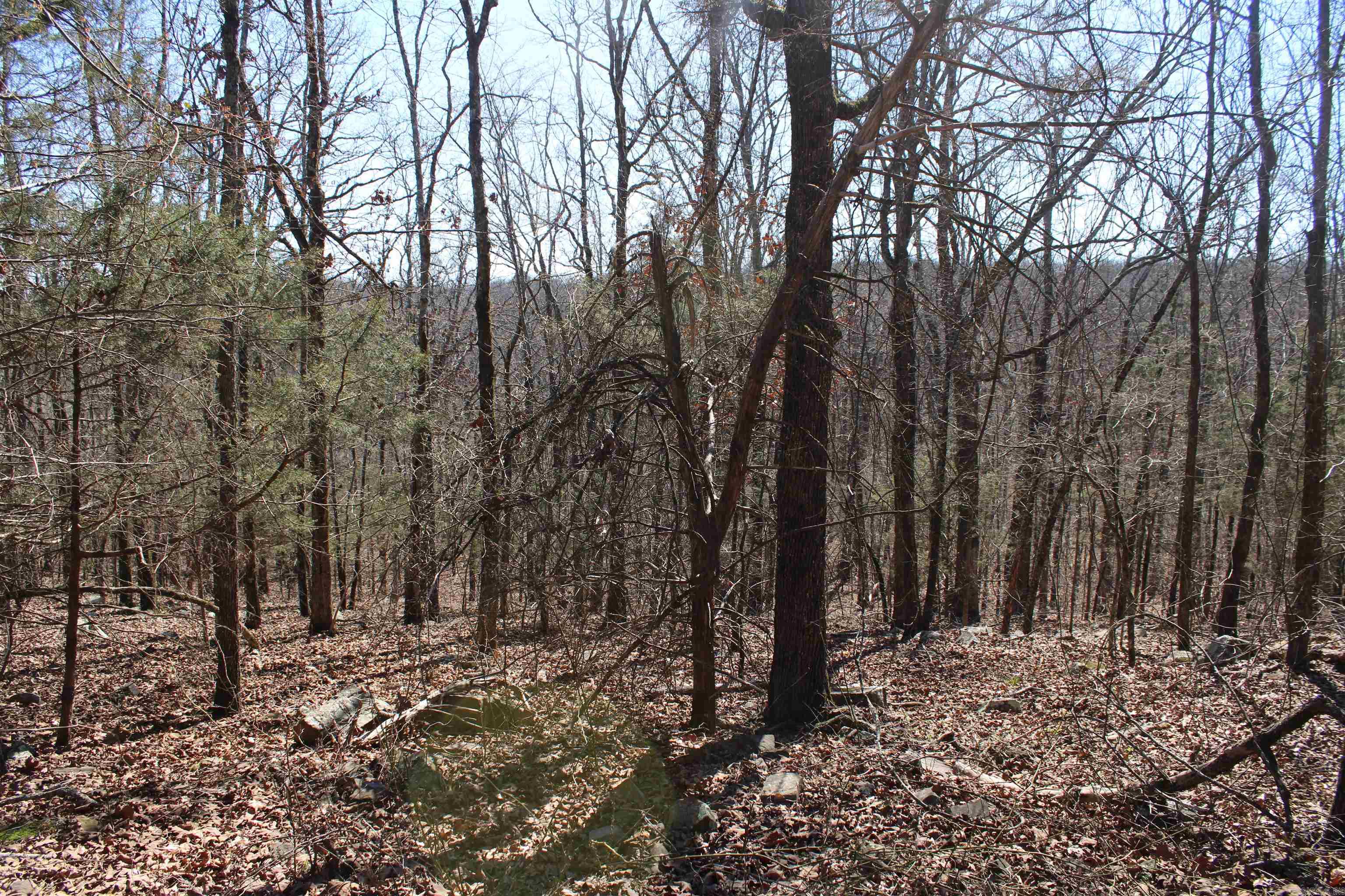 Lot 20 Kelly  Cabot, AR