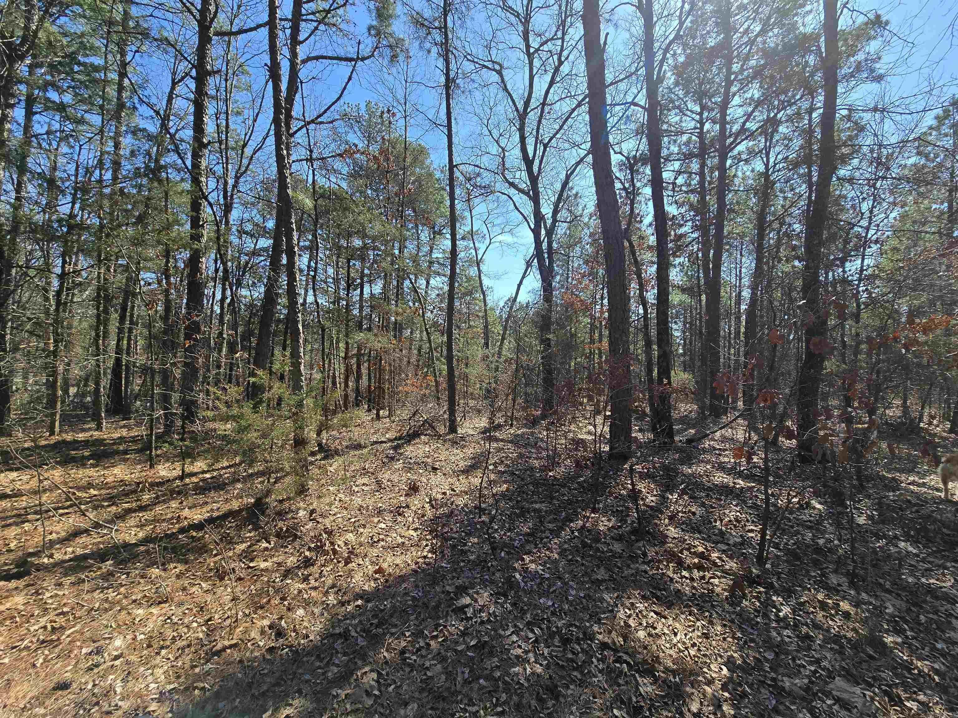 225 Dogwood  Quitman, AR