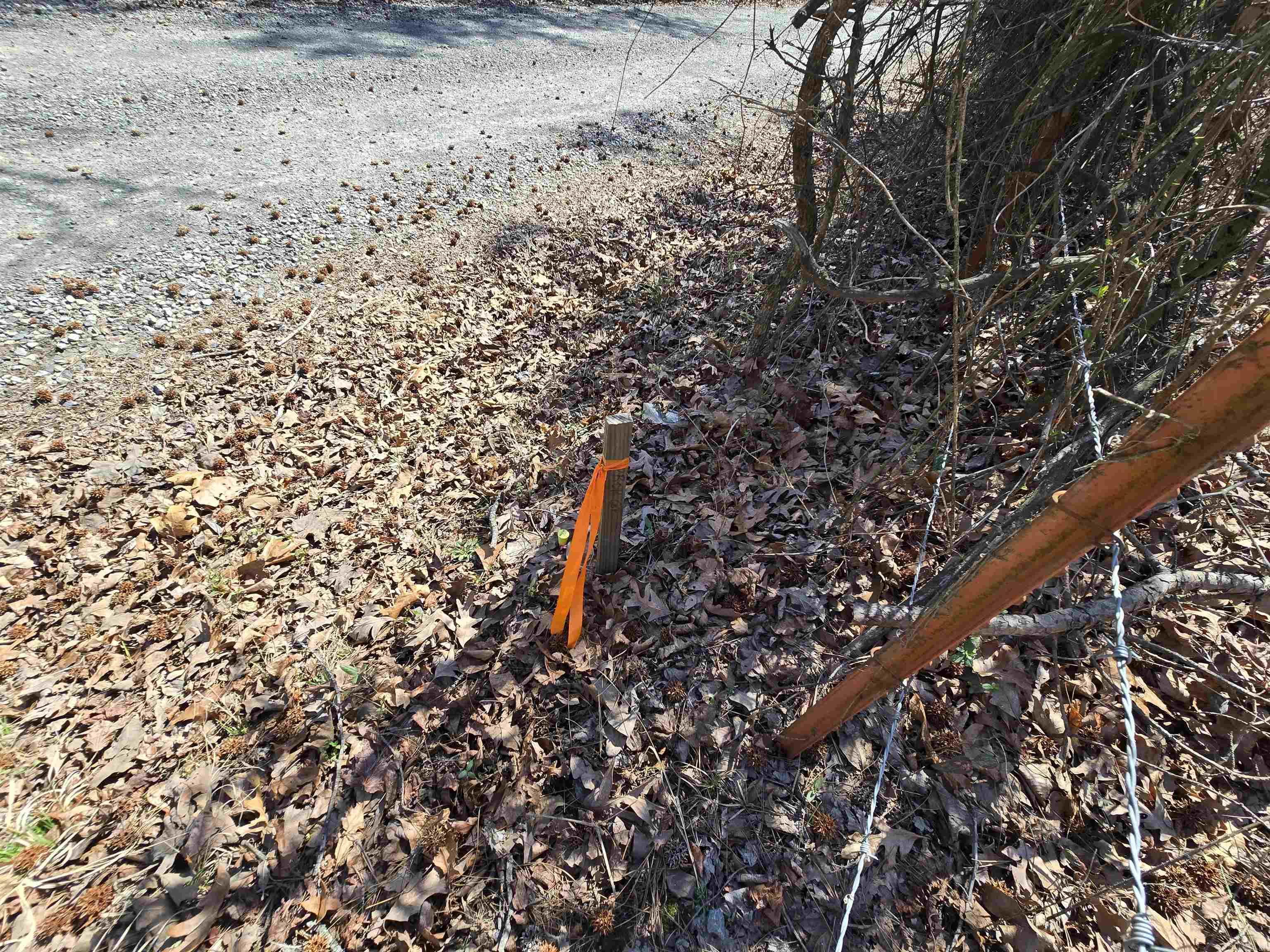 225 Dogwood  Quitman, AR