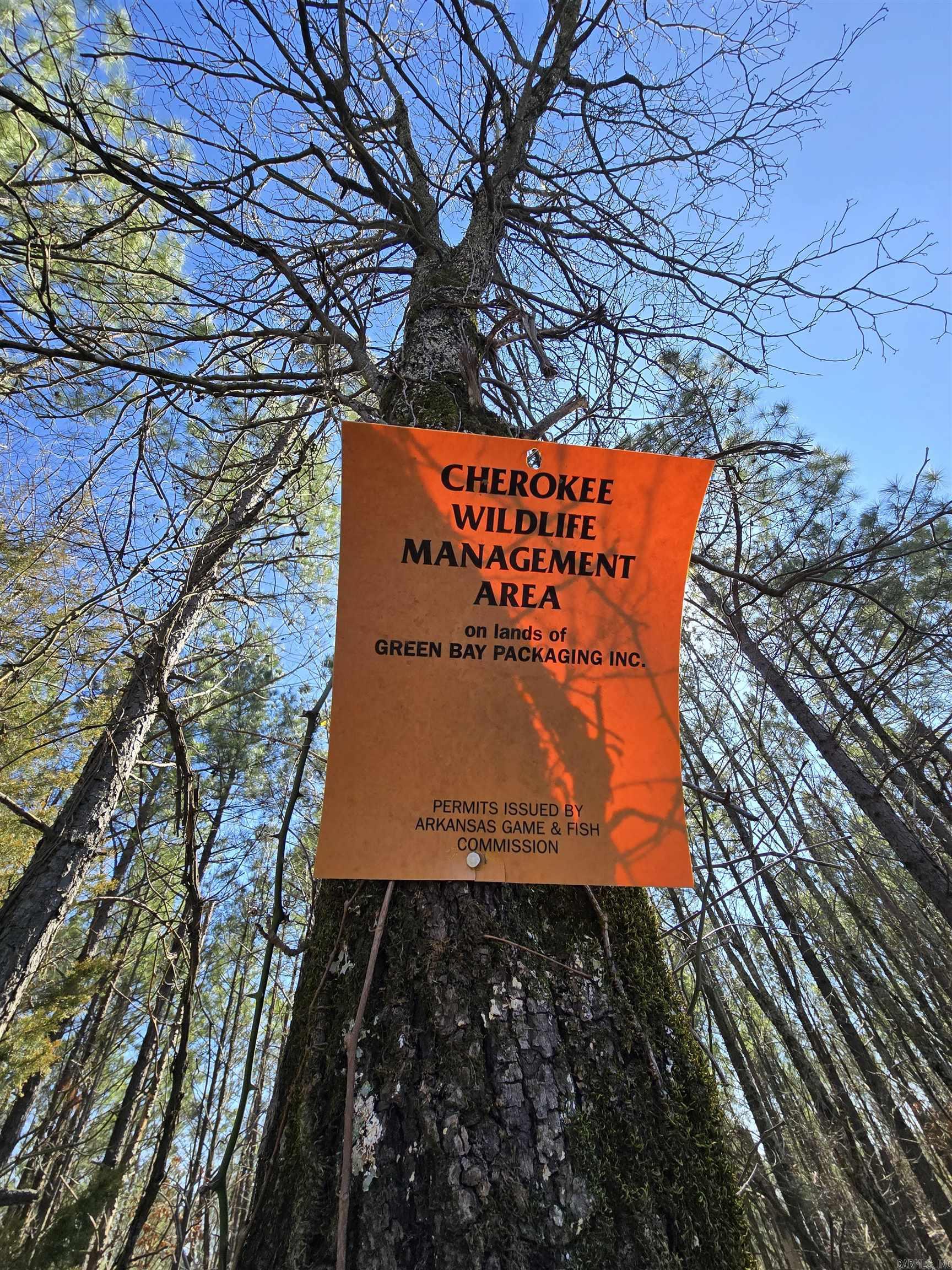 225 Dogwood  Quitman, AR