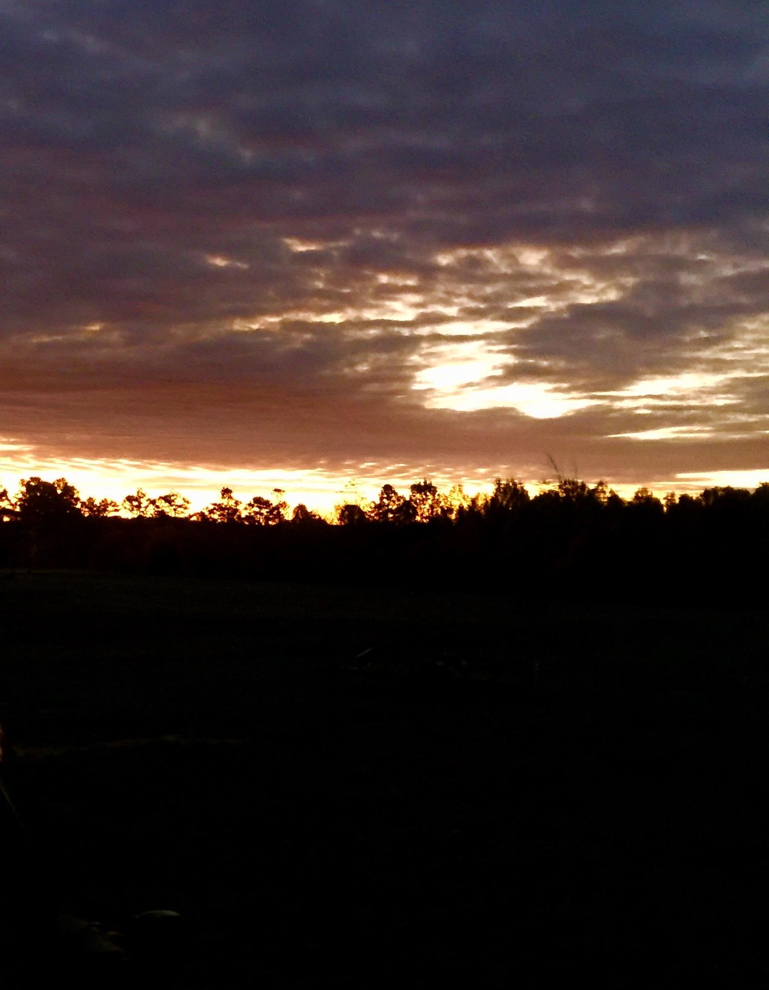 2118 Jimmy Creek  Fox, AR