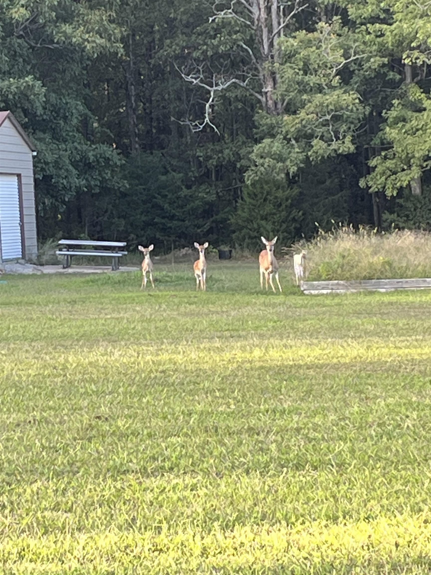 2118 Jimmy Creek  Fox, AR