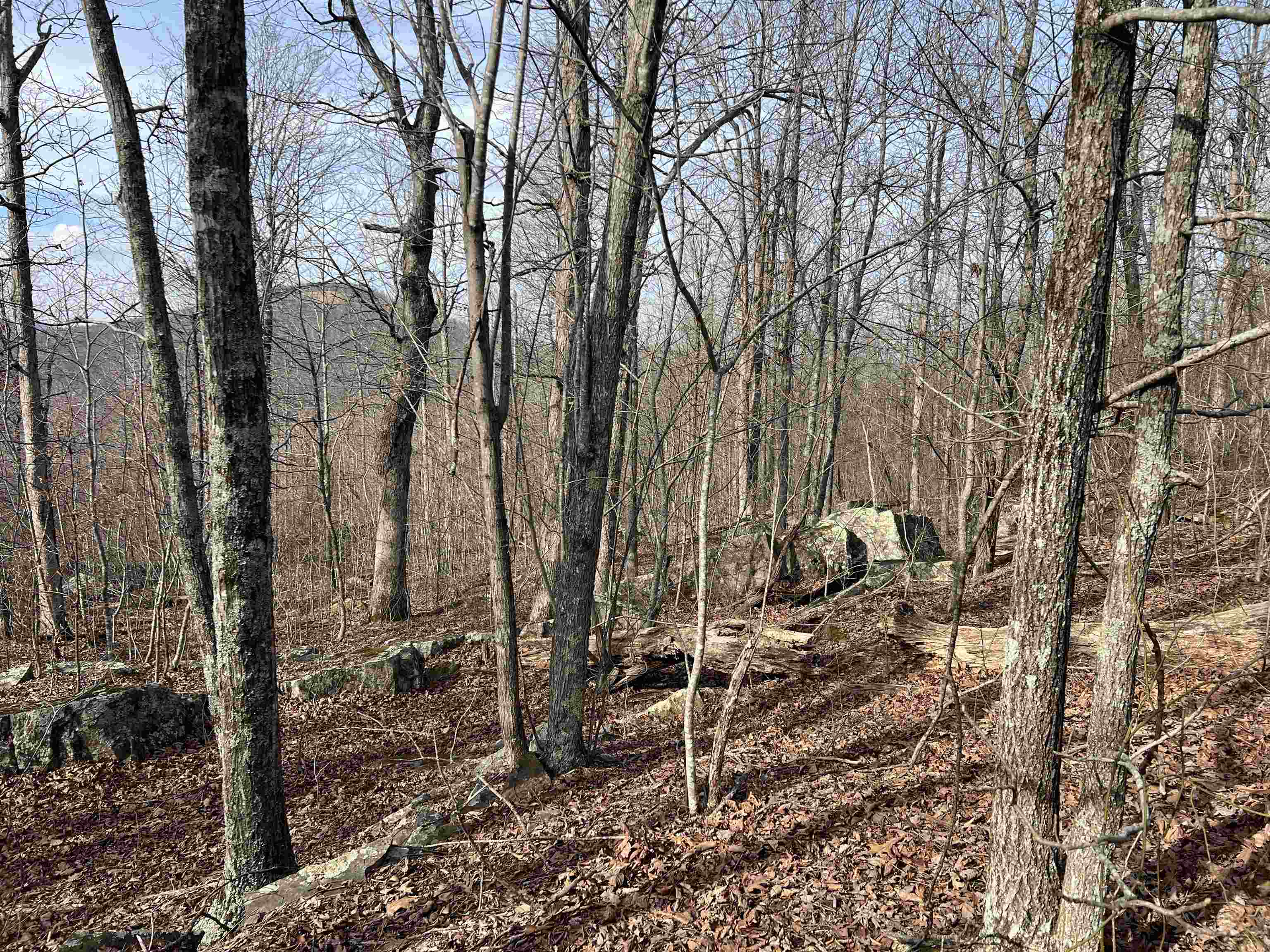 2118 Jimmy Creek  Fox, AR