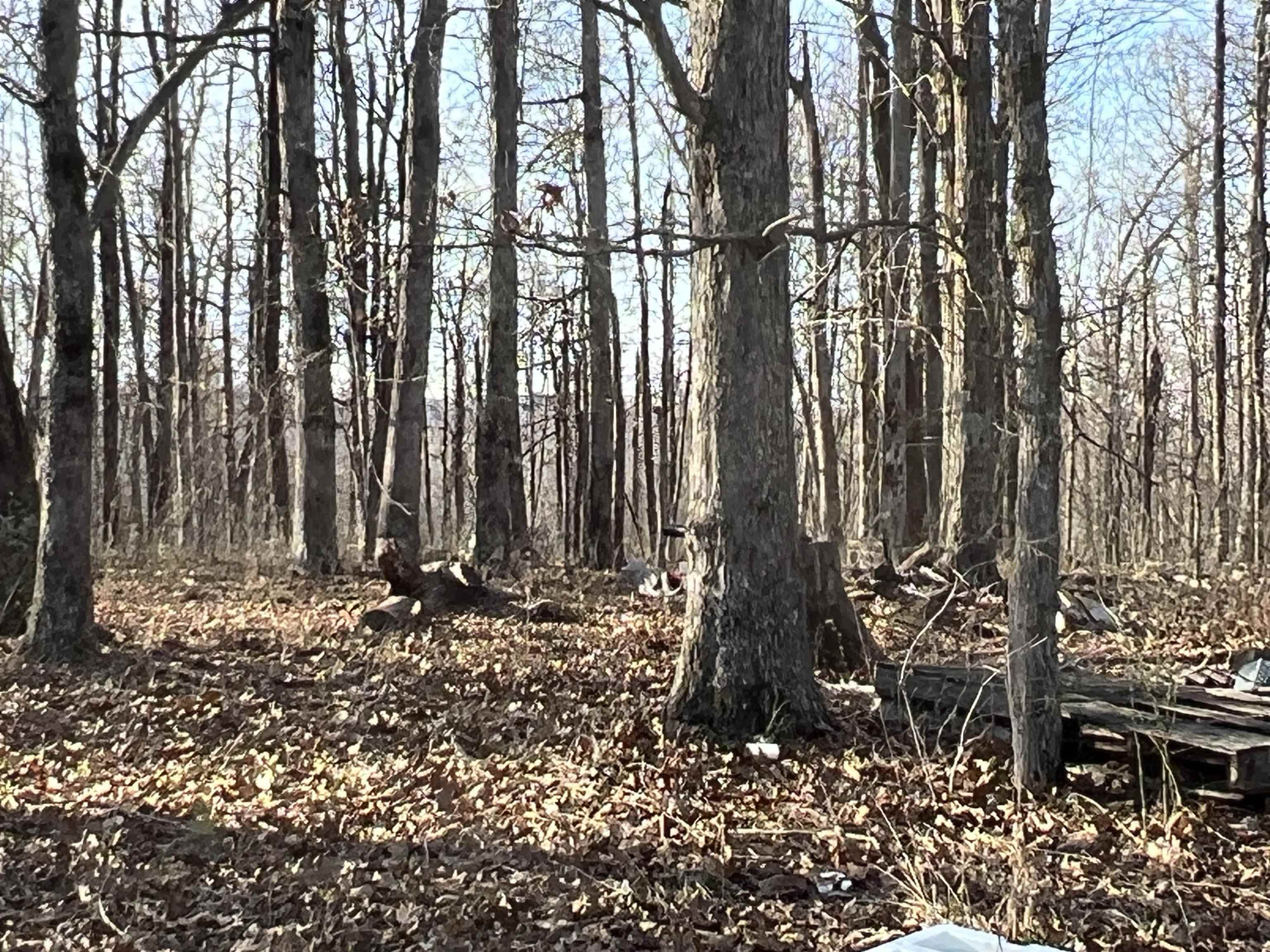 2118 Jimmy Creek  Fox, AR