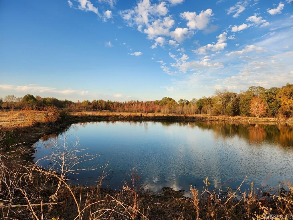 21.69 ACRES LEE COUNTY  Moro, AR