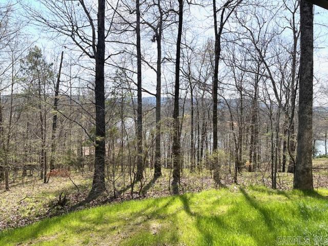 TBD 2424 & 2425 MURRAY HILL PLACE  Hot Springs, AR