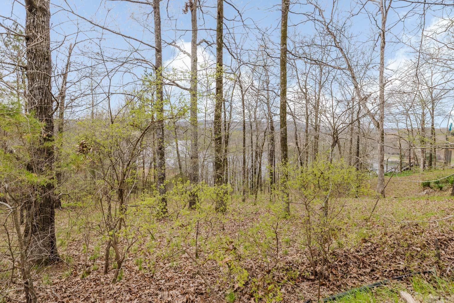 123 MURRAY HILL PLACE Hot Springs, AR 71913