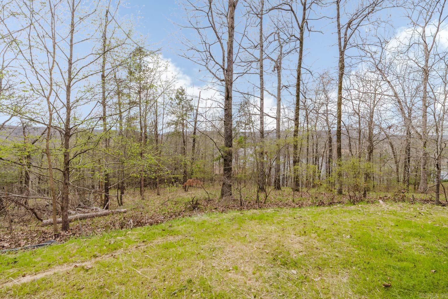 123 MURRAY HILL PLACE Hot Springs, AR 71913