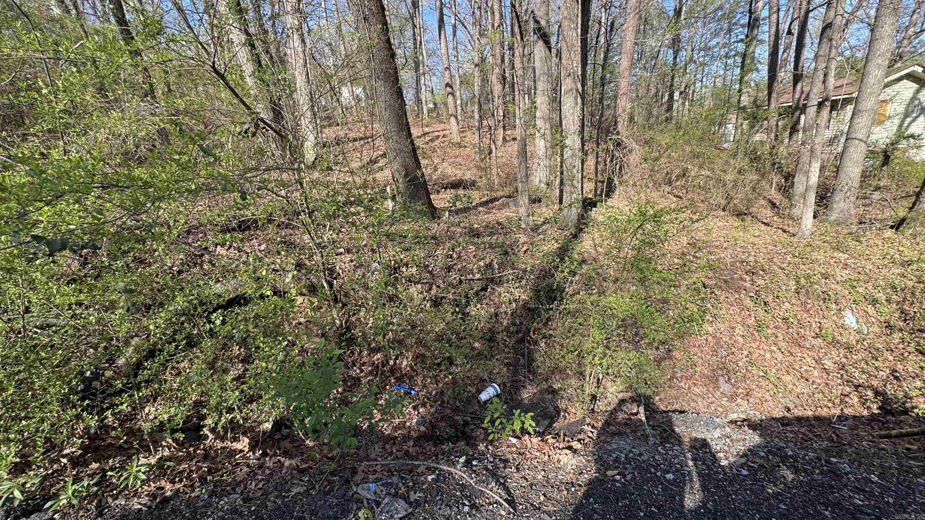 Lots 3 and 4 Cobb St  Little Rock, AR