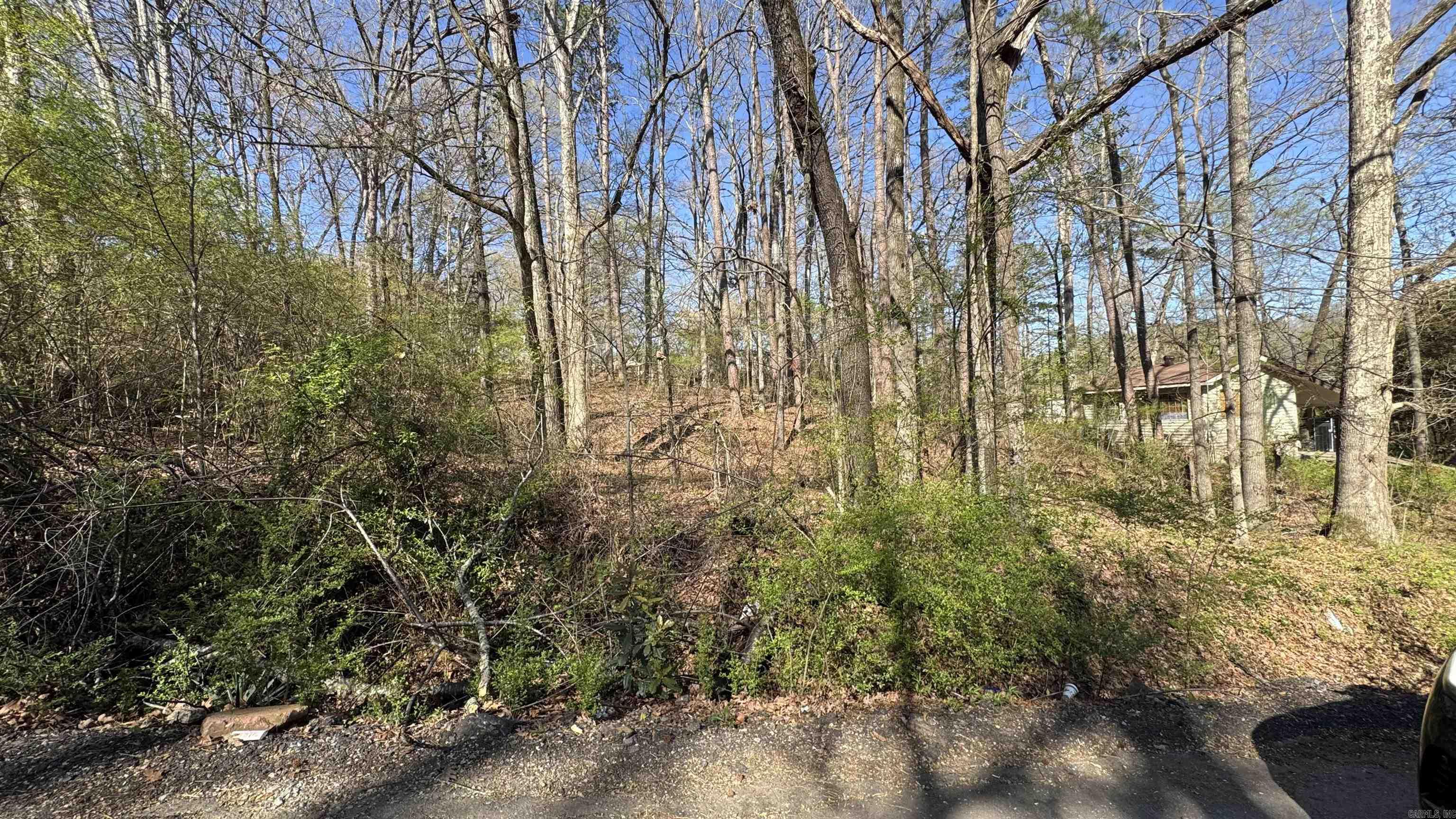 Lots 3 and 4 Cobb St  Little Rock, AR