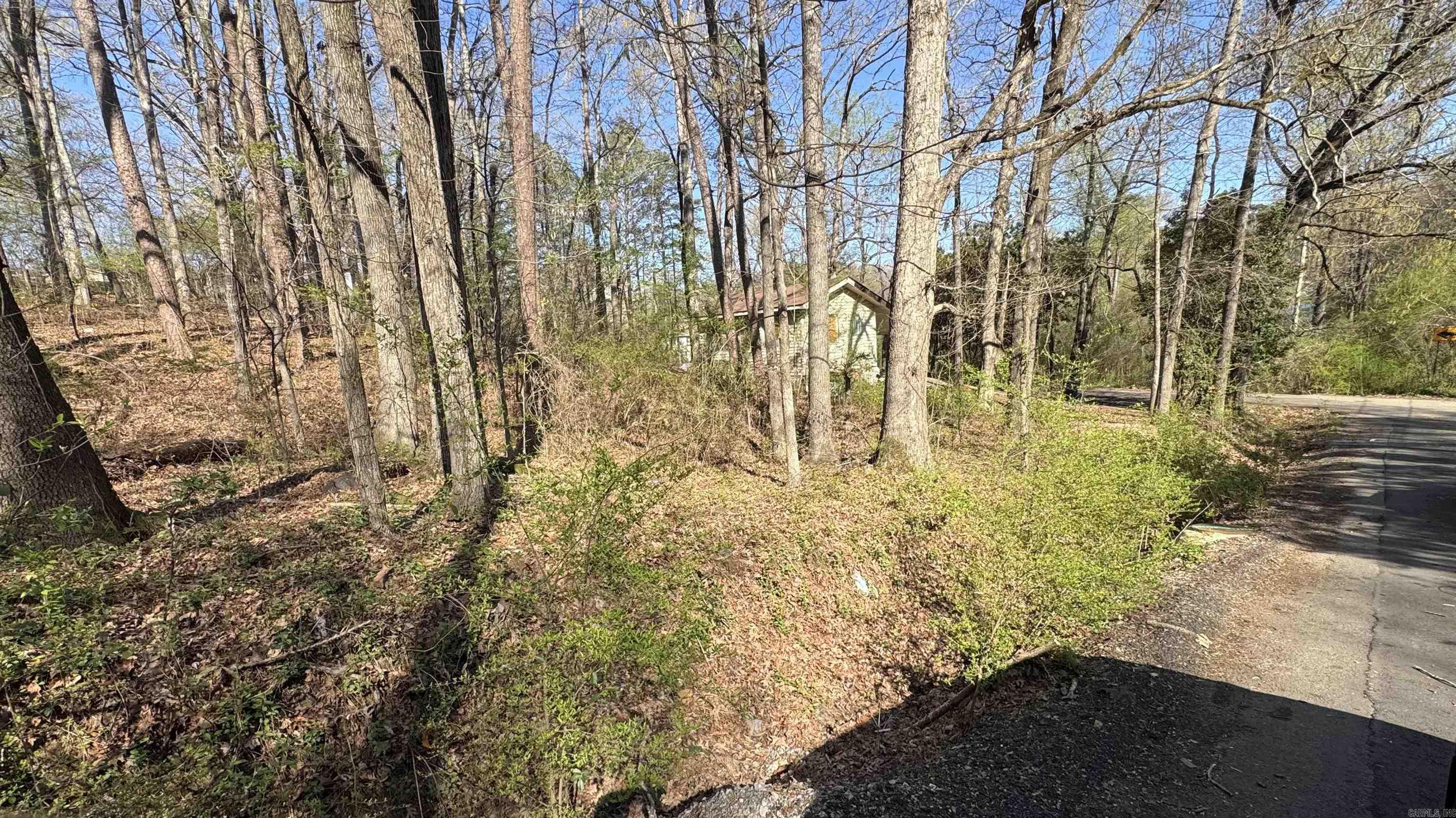 Lots 3 and 4 Cobb St  Little Rock, AR