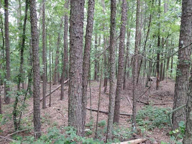 97 Castano  Hot Springs Village, AR