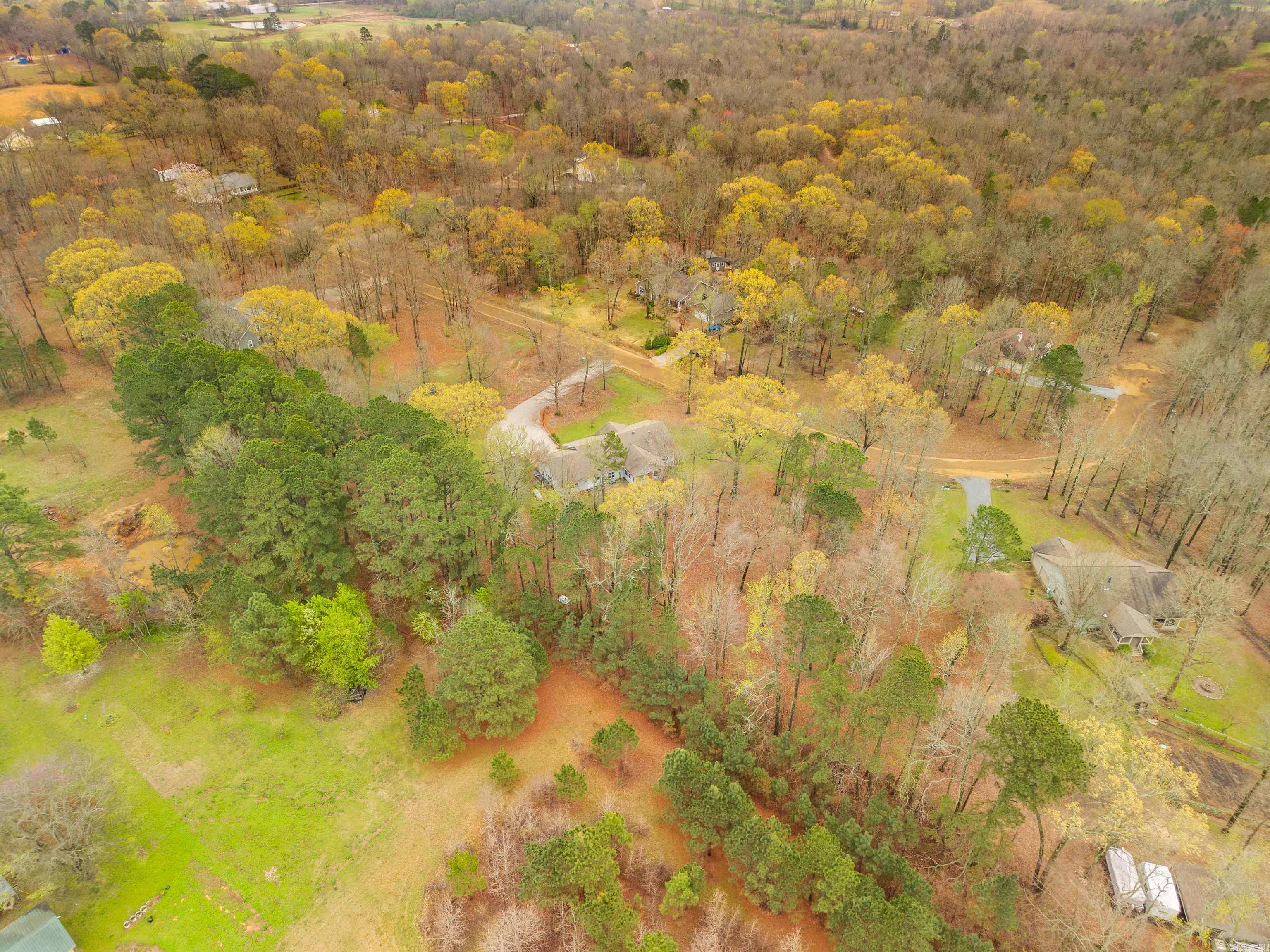 200 Autumn Oaks Dr  Bismarck, AR