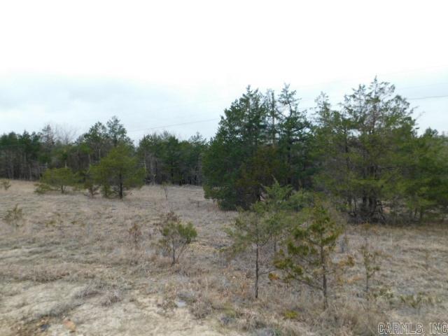 1117 CR 784  Mountain Home, AR