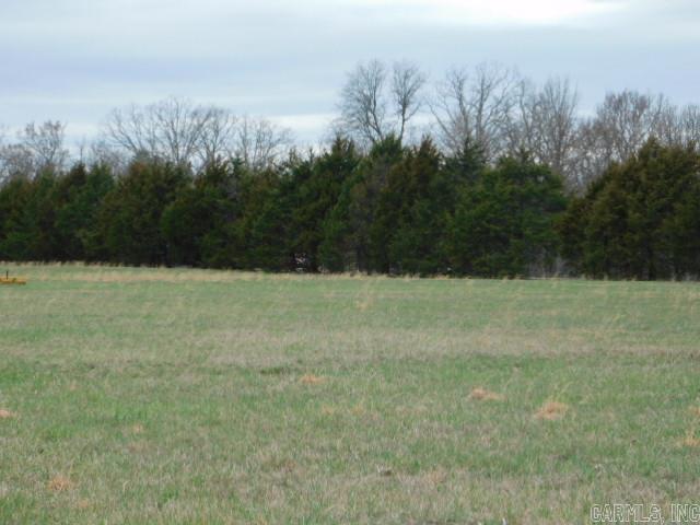 1117 CR 784  Mountain Home, AR