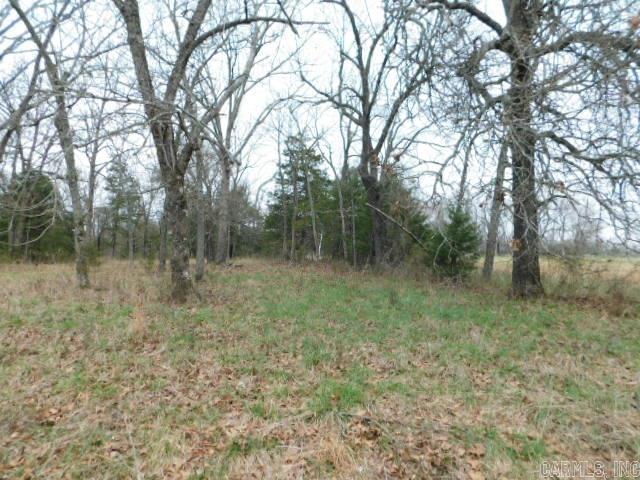 1117 CR 784  Mountain Home, AR