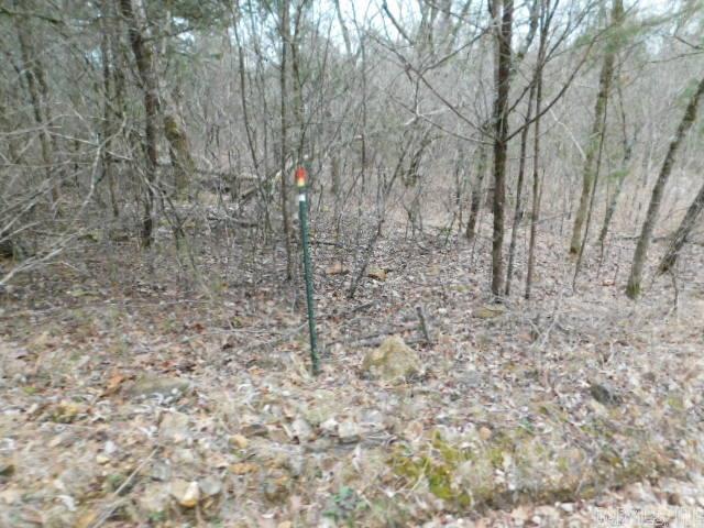 1117 CR 784  Mountain Home, AR