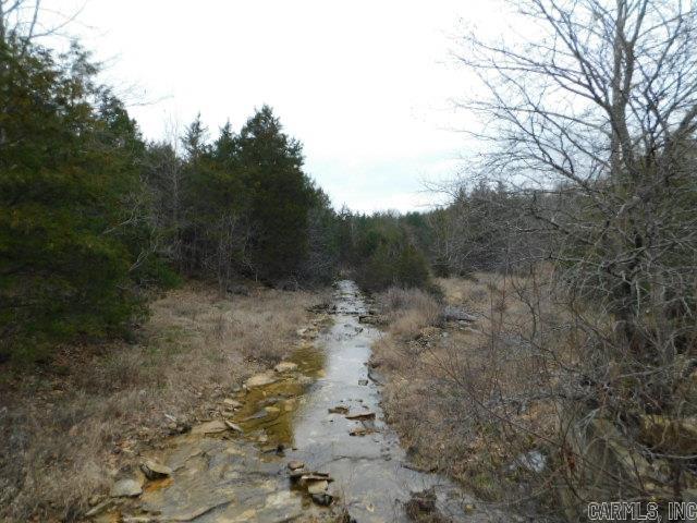 1117 CR 784  Mountain Home, AR