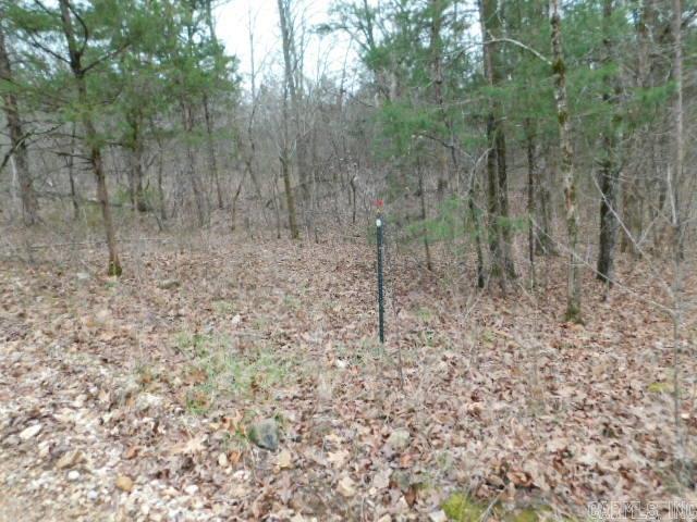 1117 CR 784  Mountain Home, AR