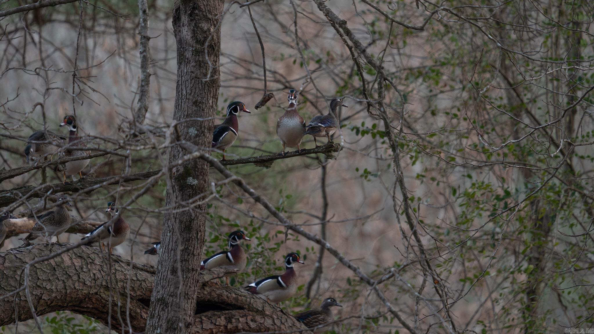 TBD Hwy 237  Texarkana, AR