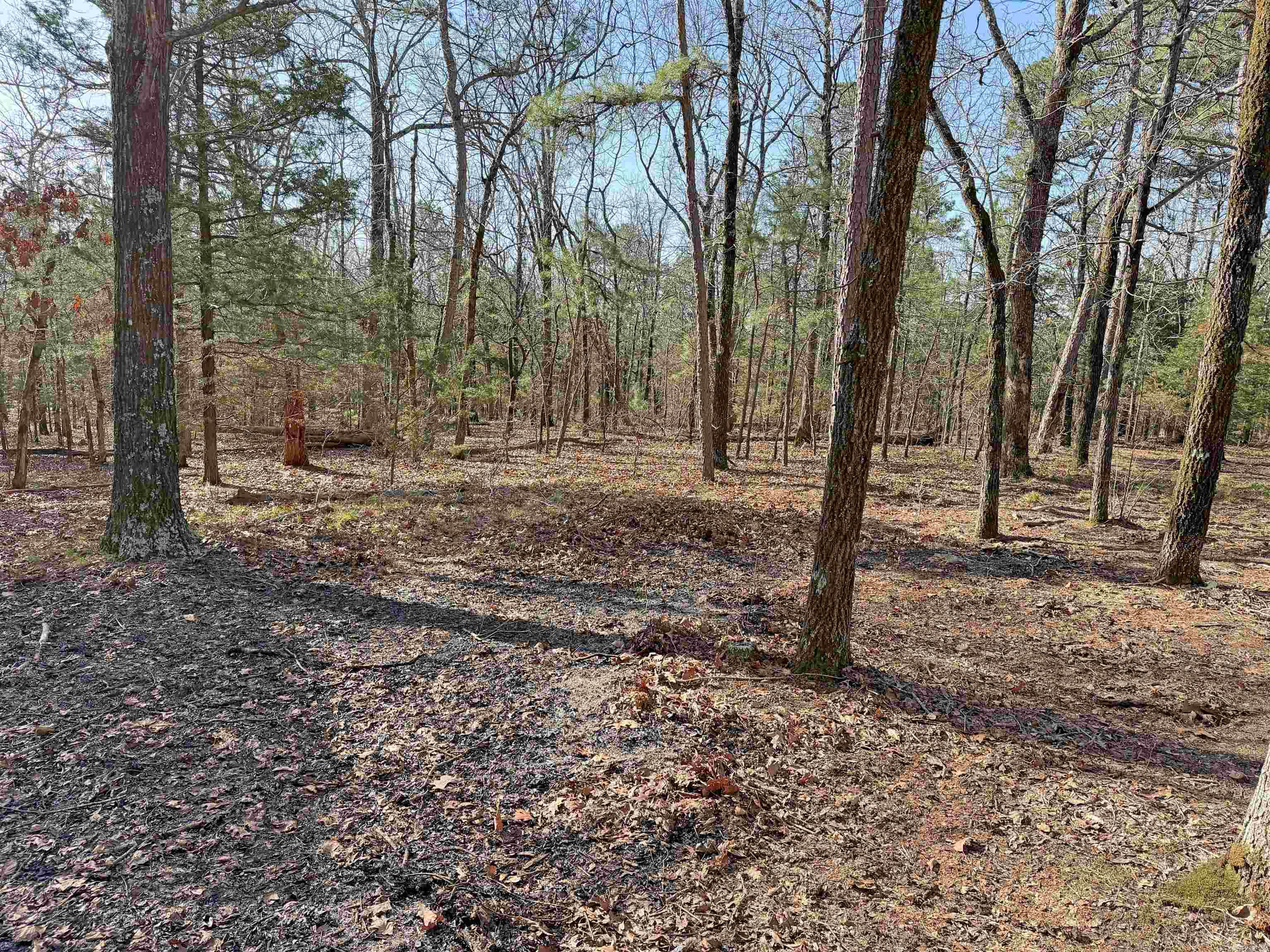 000 Arrowhead Ln.  Mountain View, AR