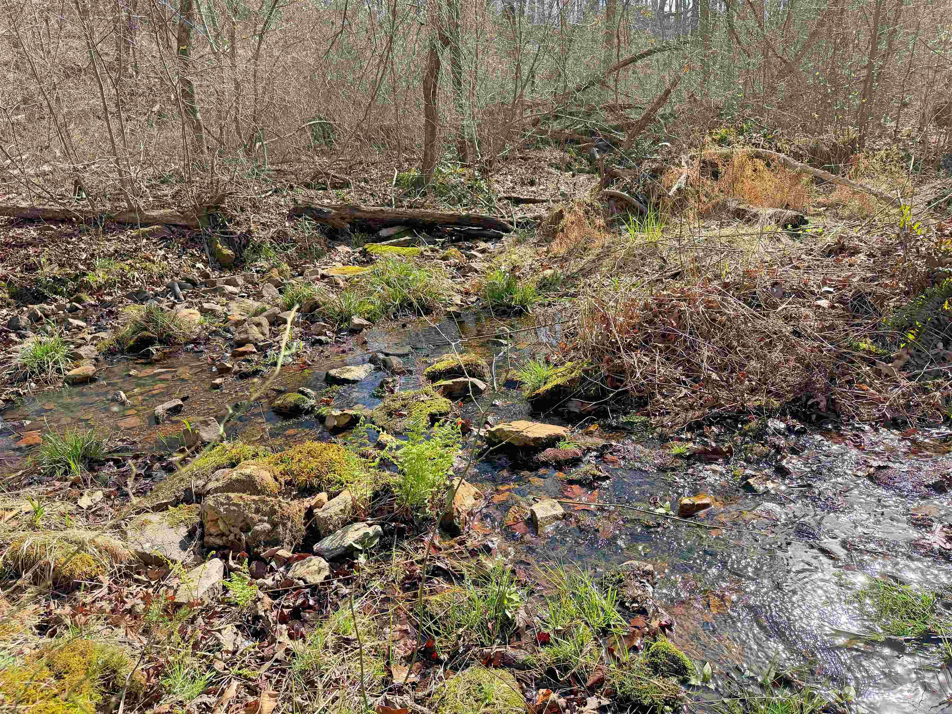 000 Arrowhead Ln.  Mountain View, AR