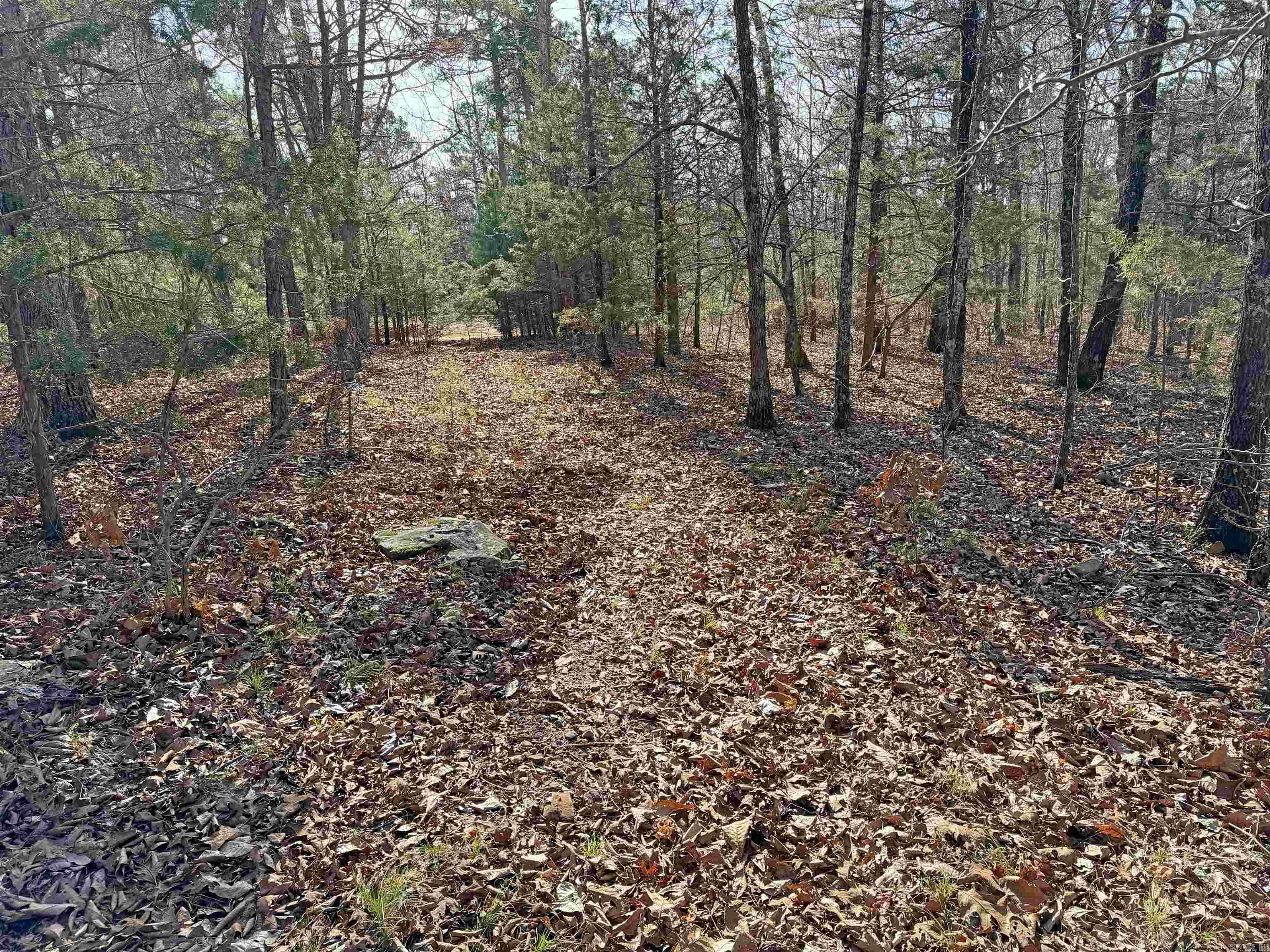 000 Arrowhead Ln.  Mountain View, AR