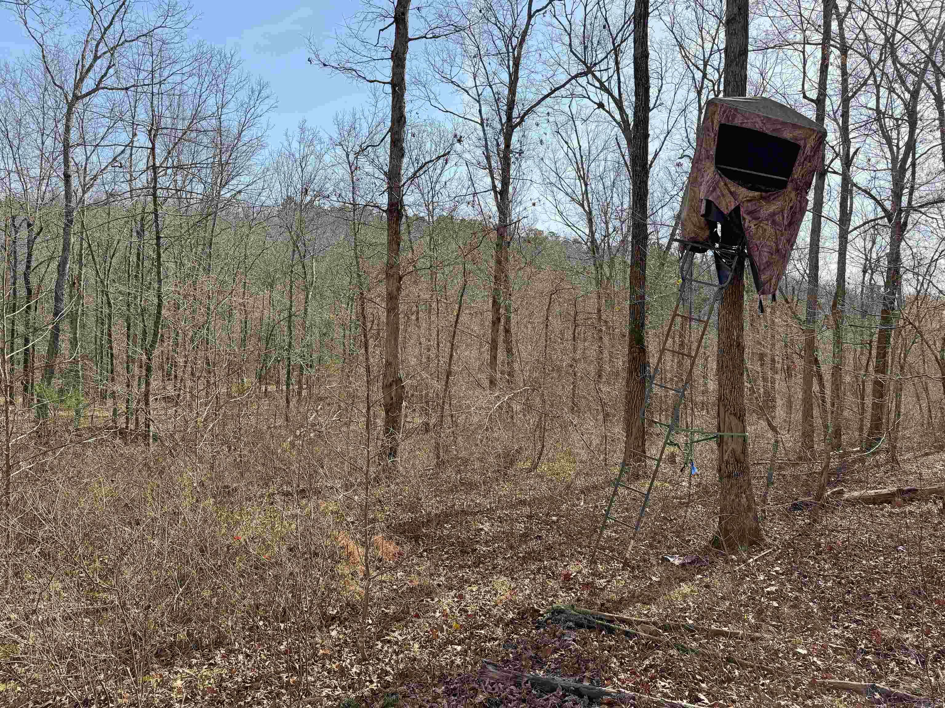 000 Arrowhead Ln.  Mountain View, AR