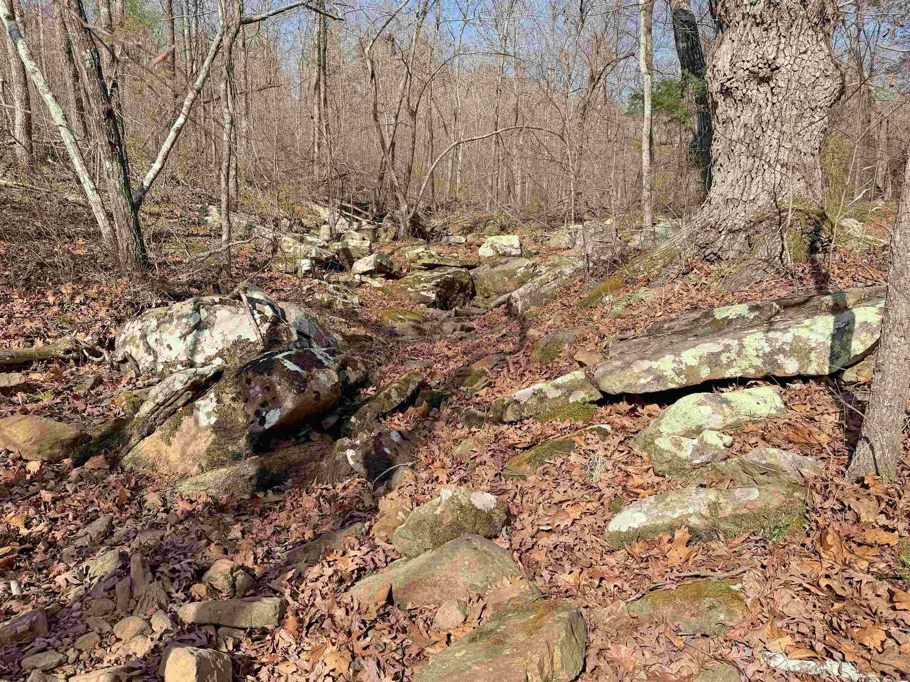 000 Arrowhead Ln.  Mountain View, AR