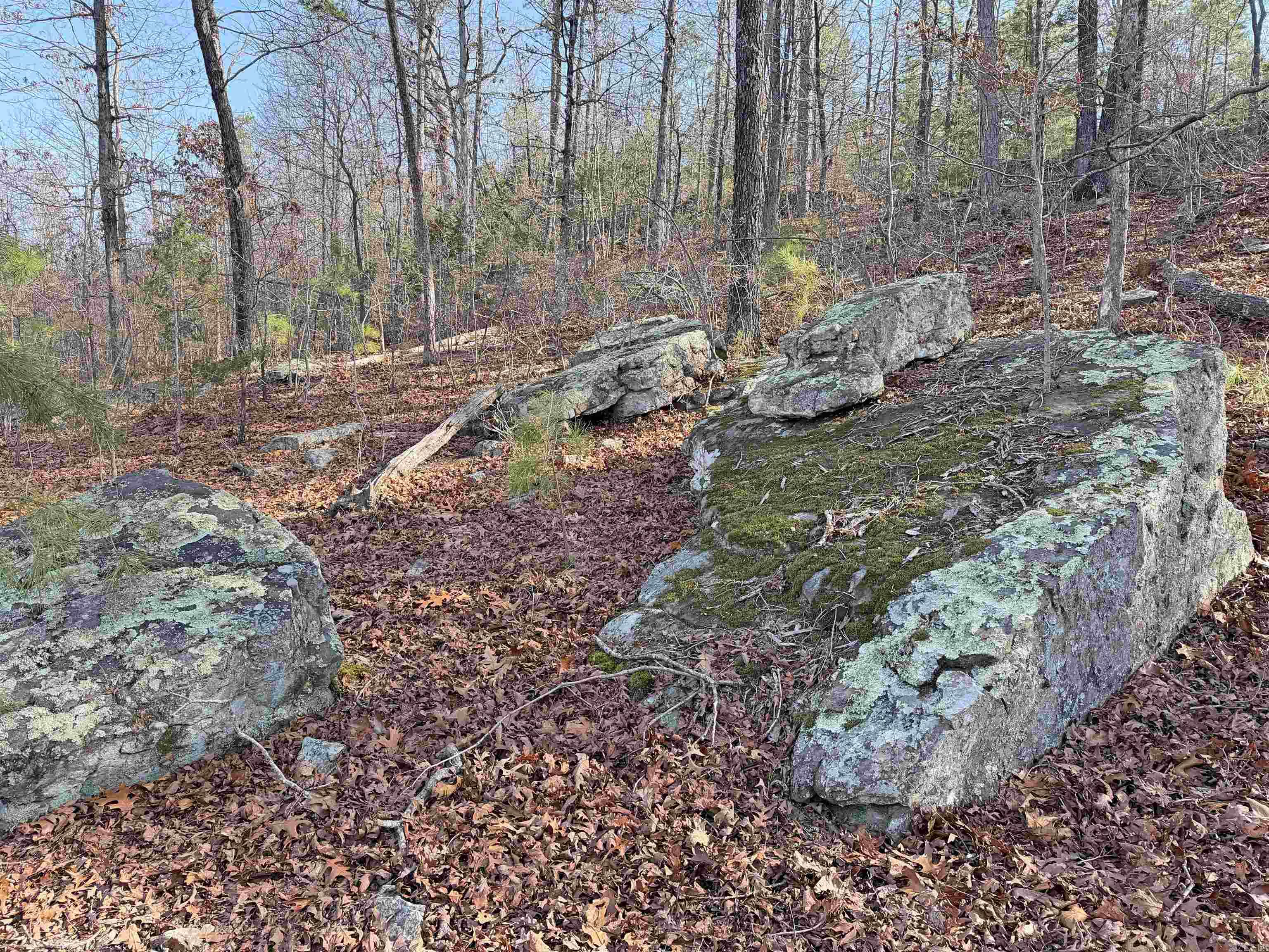 000 Arrowhead Ln.  Mountain View, AR